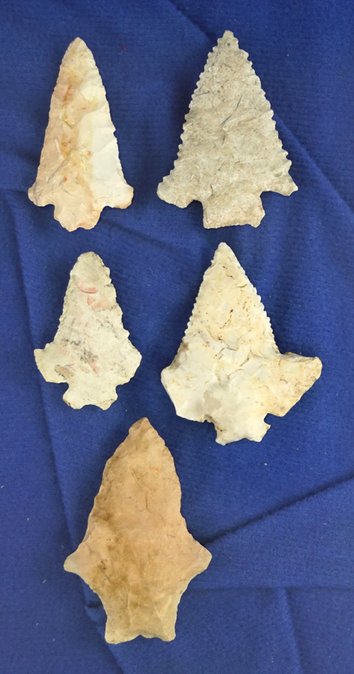 Set of five Fox Valley points found in Illinois. Largest is 1 5/8". Comes with a Meadows COA.