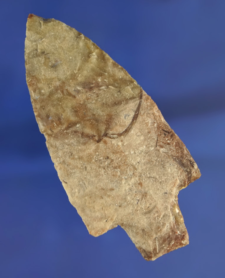 Well patinated 3 1/16" Newnan point found in Florida.