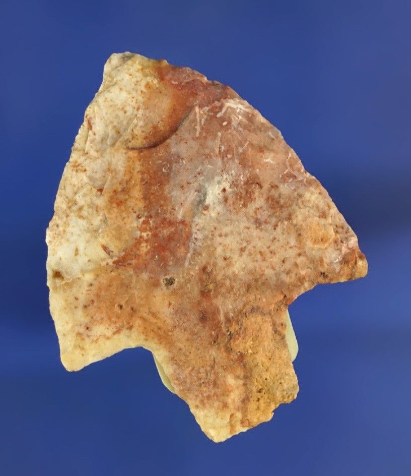 1 3/4" Newnan point found in Florida.