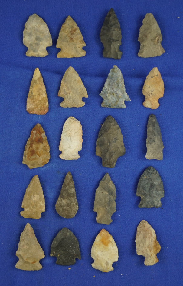 Set of 20 assorted arrowheads found in southern Michigan, largest is 1 5/8".  Ex. Phil Wagle.