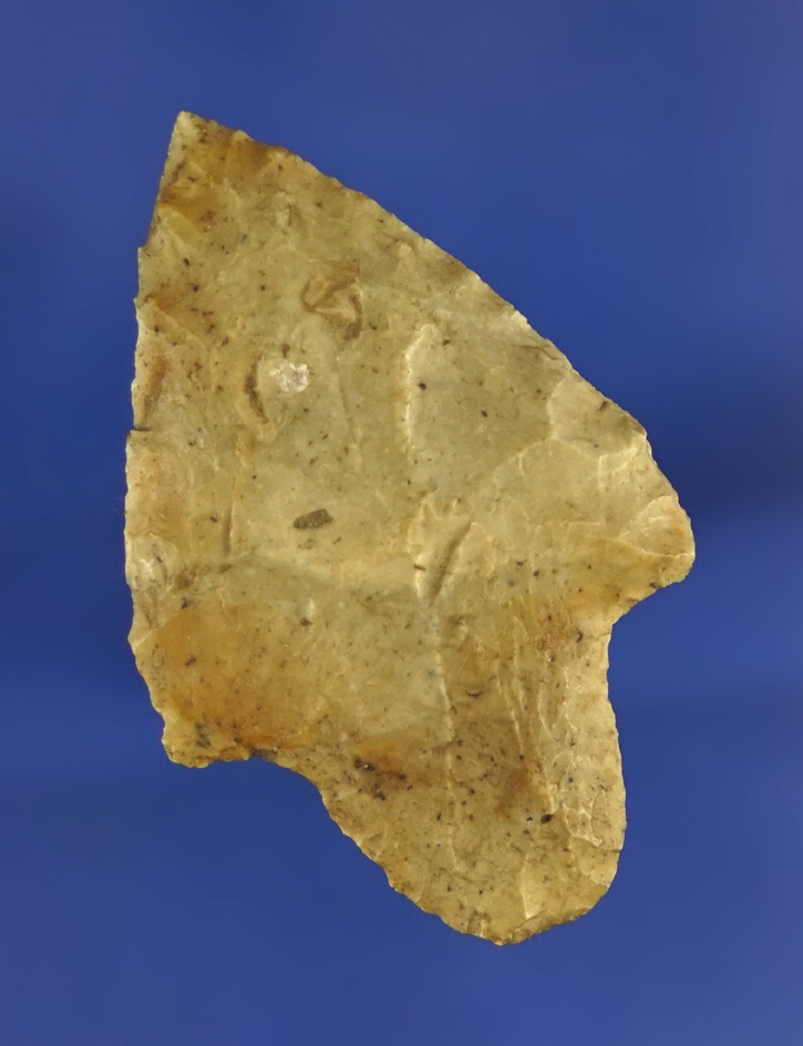 1 7/8" Newnan found in Marion Co.,  Florida.