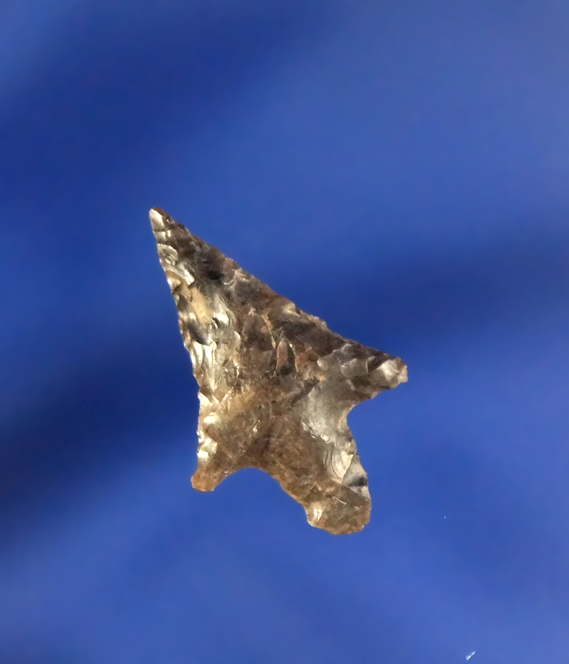 13/16" Rabbit Island Arrow found near the Columbia River