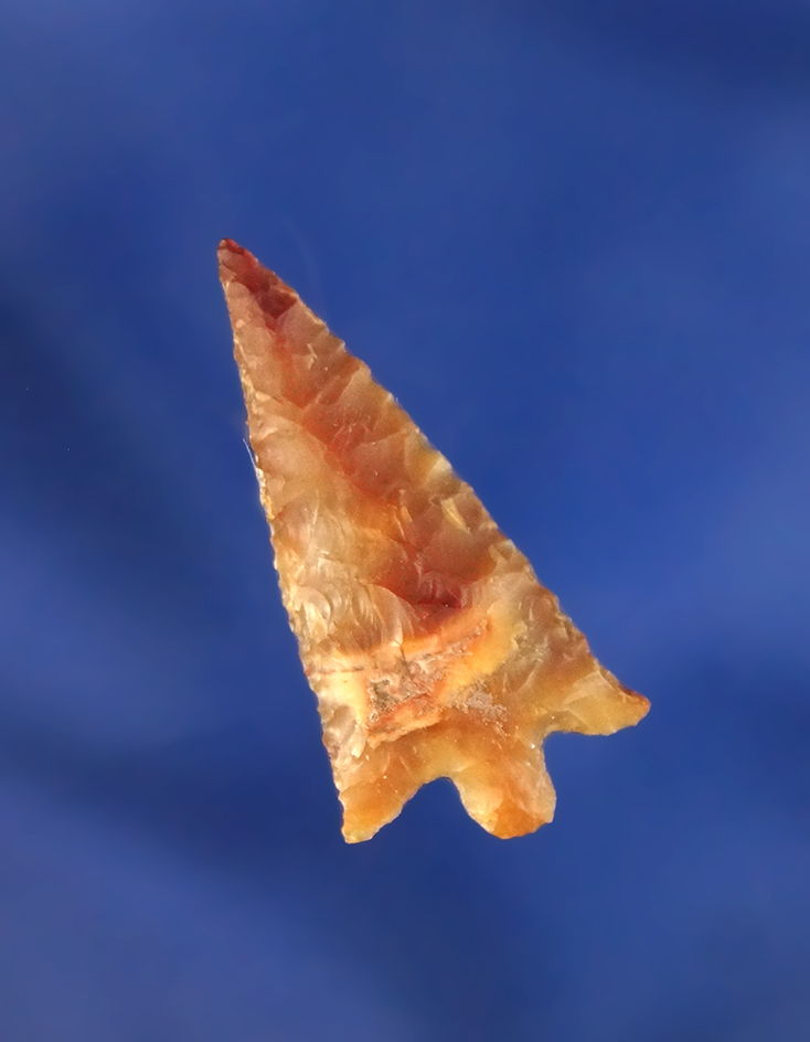 1 1/16" thin and beautifully flaked Rabbit Island found near Quinton Oregon by Kaye Don BrucE