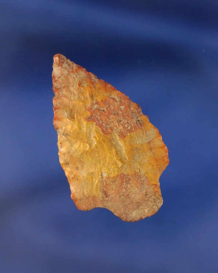 1 9/16" Gypsum Cave that is thin and nicely flaked from Jasper. Found in Oregon.