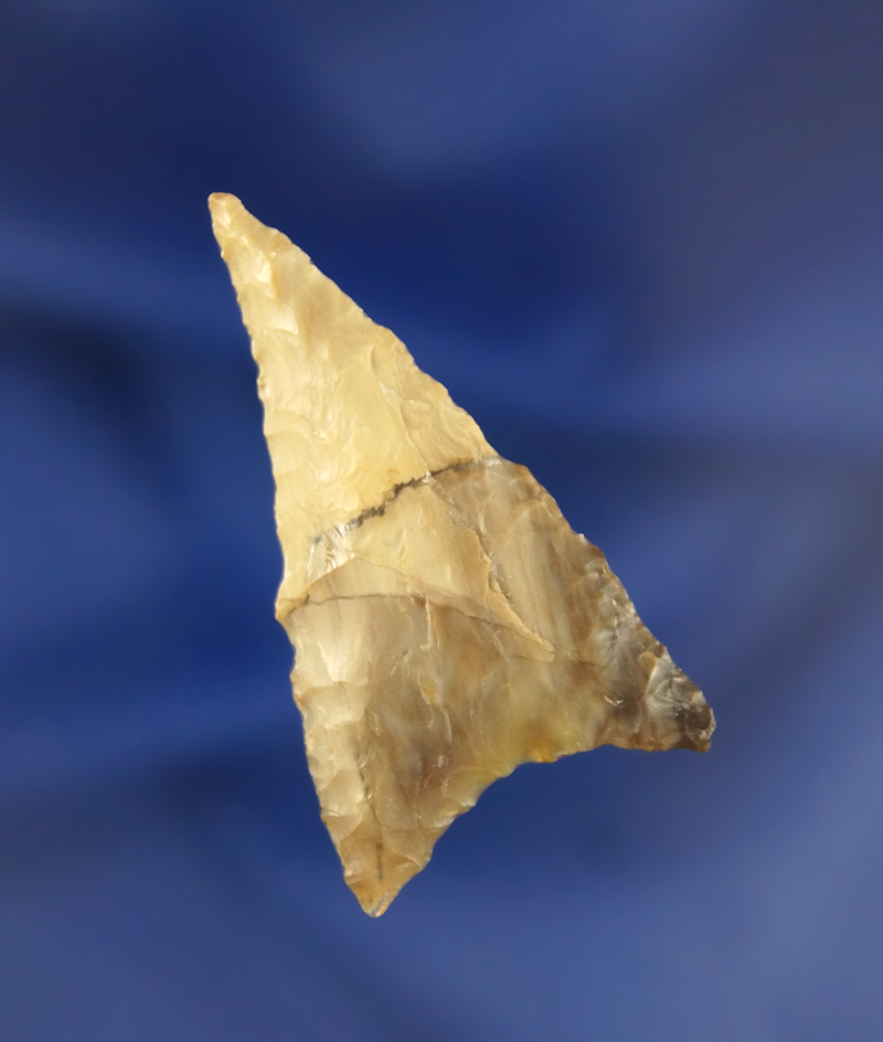 1 7/8" Columbia Mule Ear made from semi translucent Agatized Wood, found near the Columbia River.