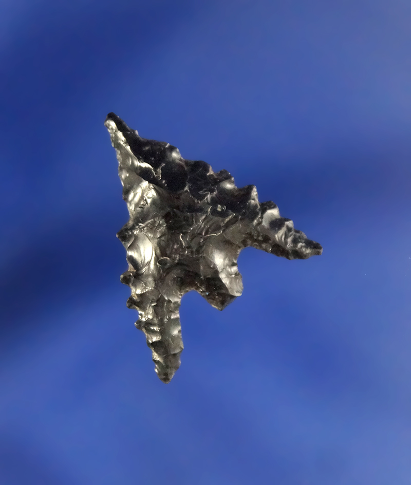 13/16" Calapooya made from Obsidian with nicely serrated edges found in Oregon.