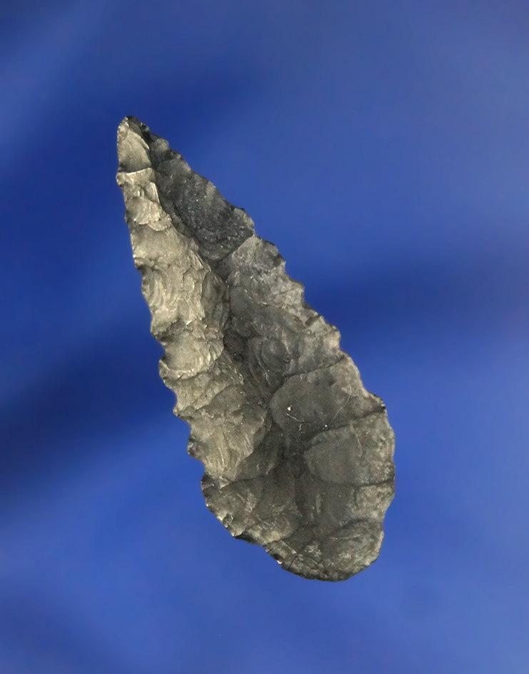 1 1/2" Coquille Leaf made from nicely patinated Obsidian found in Oregon.