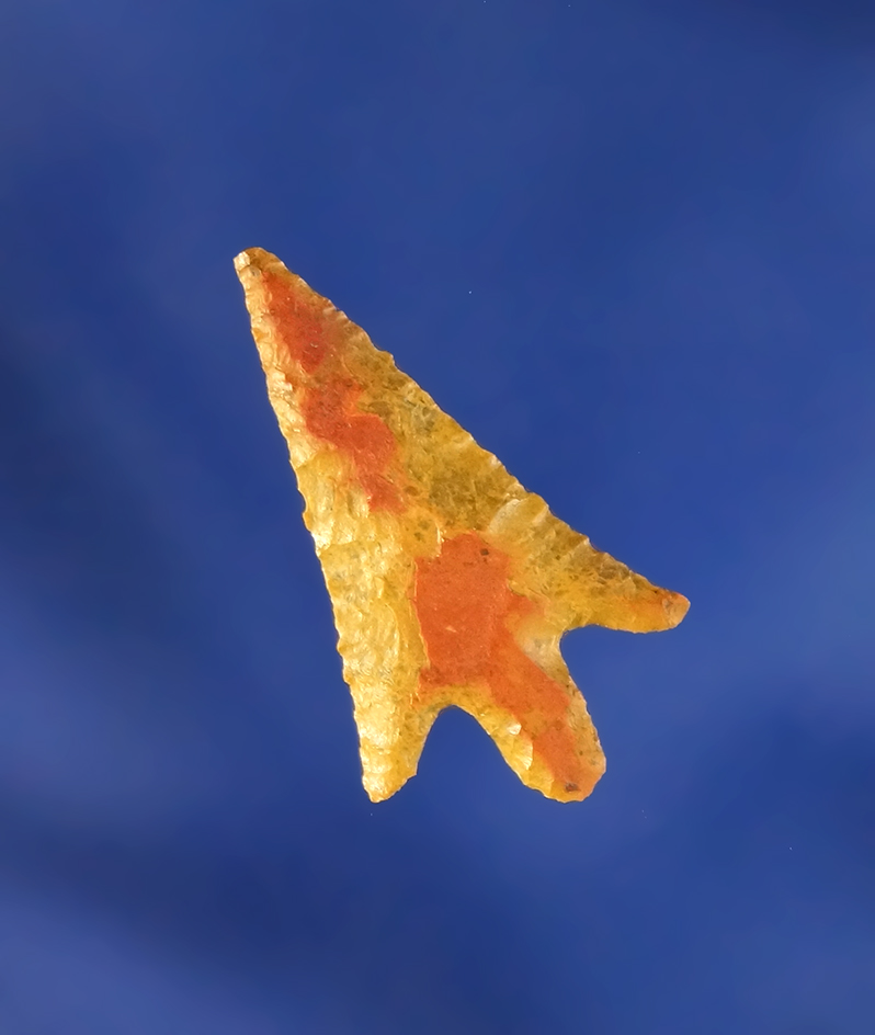 7/8" Columbia Plateau that is very thin and exceptionally well flaked - Columbia River, by Kaye Don