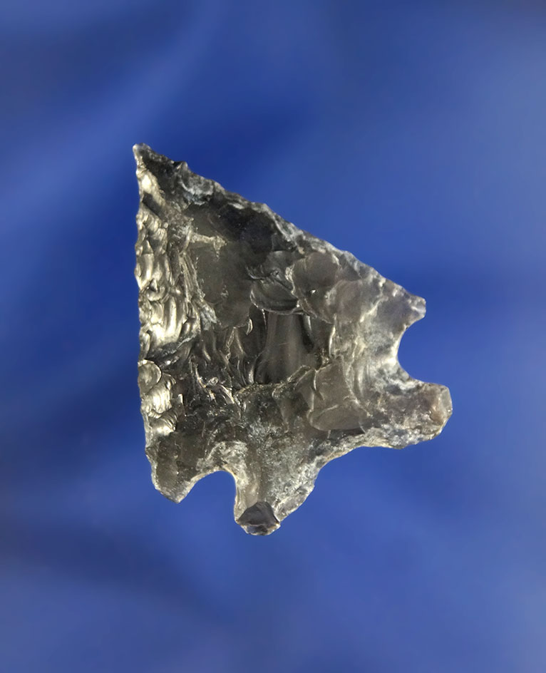 1 1/2" Elko eared made from Obsidian, found in Oregon.