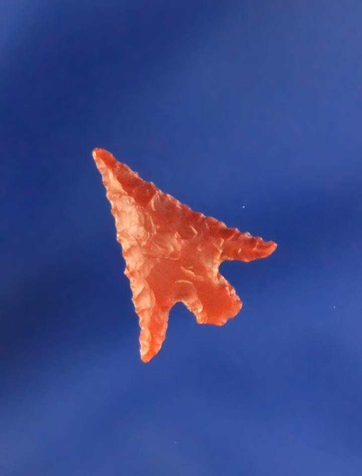 5/8" delicately styled Columbia Plateau found near the John Day rapids by Kaye Don Bruce.