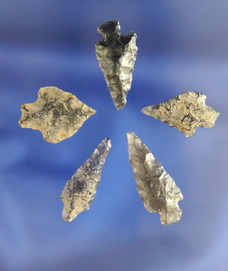 Set of five assorted arrowheads, largest is 1 1/16" found in Idaho in the 1940s – 1950s.