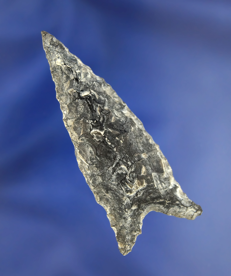 2 5/8" Buchanan Eared made from heavily patinated Obsidian, found in Oregon.