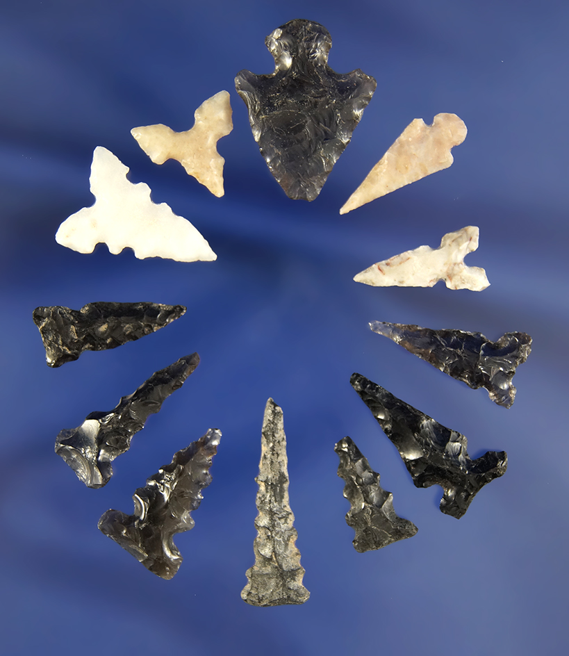 12 assorted Arrowheads found in the Arizona/New Mexico area.