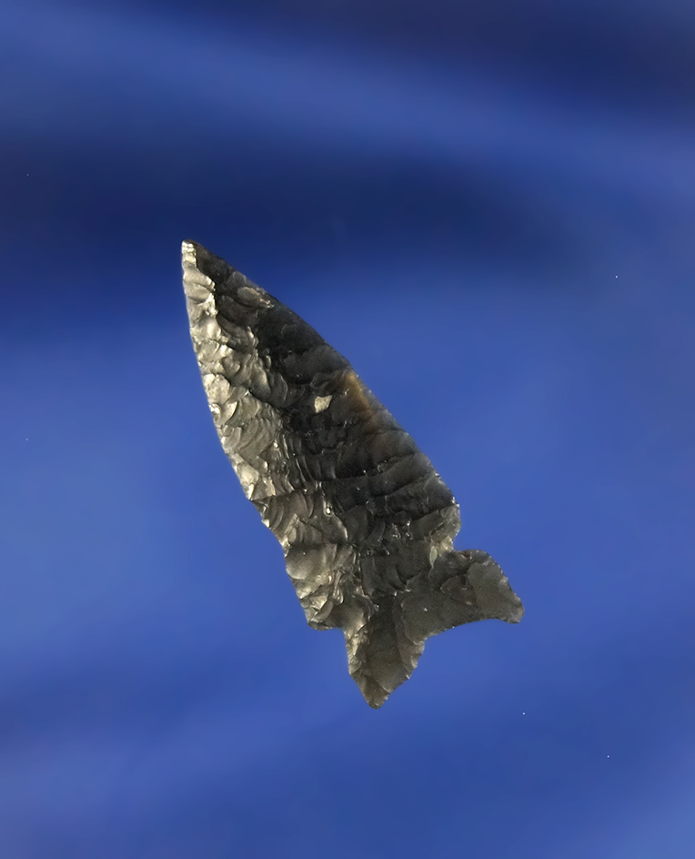 1 1/16" Desert Delta found by R. D. Mudge in Nevada.