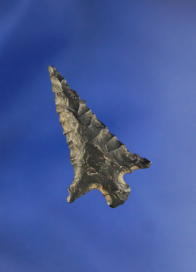 1 1/4" Columbia Plateau found near Klamath Falls, Oregon in the 1950s that is nicely styled.