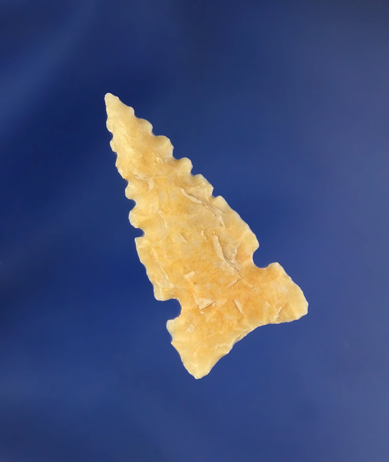 1 5/16" Caracara with nice serrations at the tip area  found in northern Mexico.