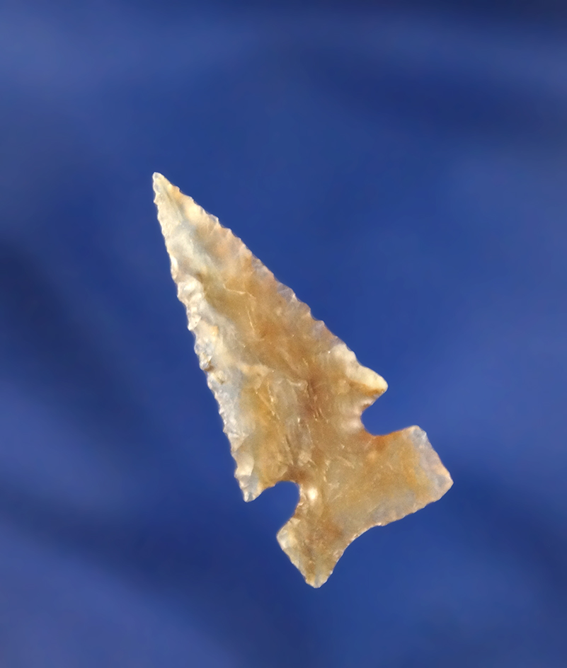 Exceptional! 1 3/16" Desert Delta - highly translucent multicolored Agate - Columbia River, Washingt