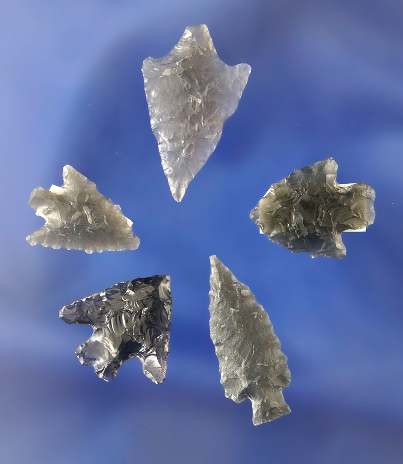 Set of five nice Obsidian Arrowheads found in California, largest is 1".