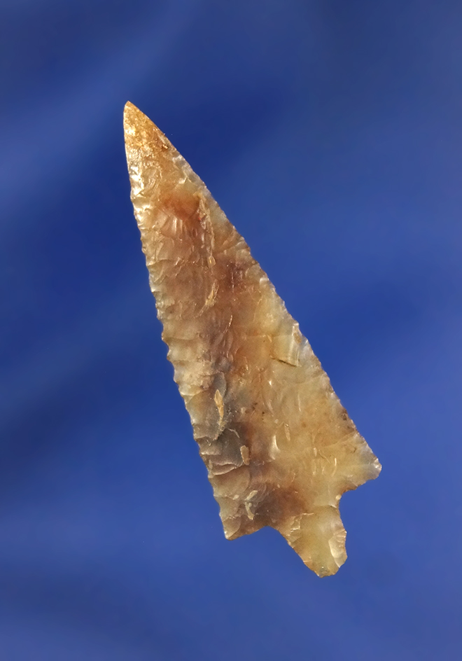 1 5/8" Rabbit Island that is exceptionally well - restoration to the tip area, Columbia River, Washi