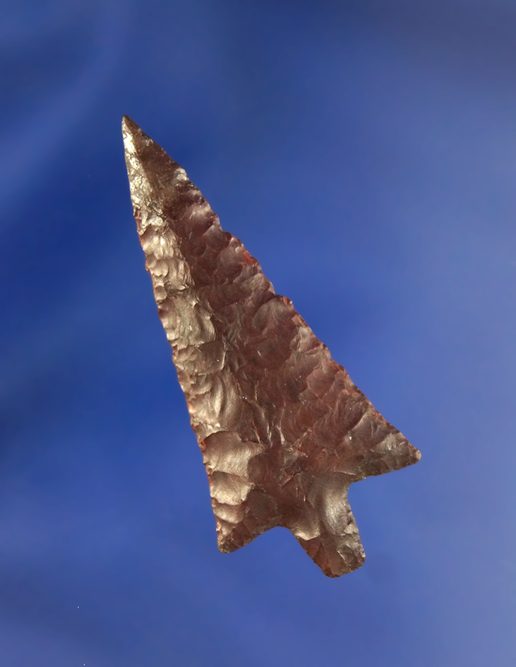 1 13/16" Wallula - exceptionally well styled, nicely flaked with restoration to the tip. Columbia Ri