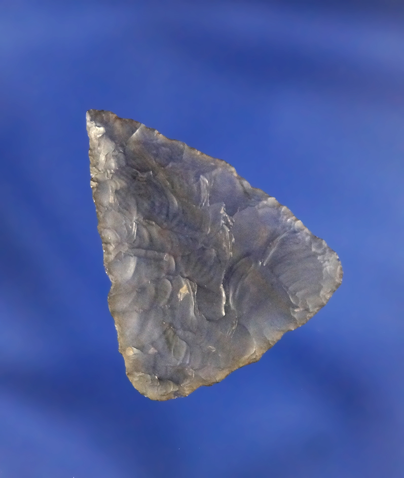 Exceptionally thin! 1 1/8" Columbia River Triangle - highly translucent Obsidian -. Incredible flaki