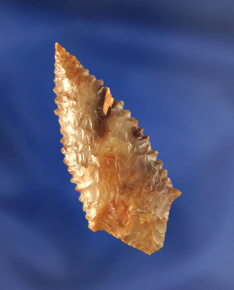 Excellent serrations on this 1 15/16" Gatecliff found near the Columbia River in Washington.