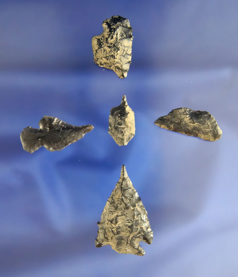 Set of five Obsidian Arrowheads, largest is 1 5/16" including a miniature Paleo Crescent   Idaho