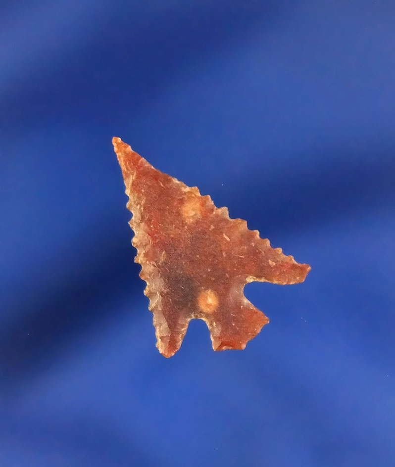 7/8" Columbia Plateau found near the John Day rapids in Klickitat County Washington by Kay Don Bruce