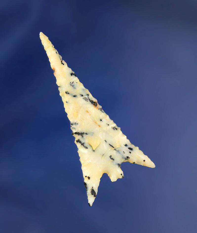 Incredible material, style, flaking! Tip has been re-glued tight. Beautiful and large 1 7/8" - Orego