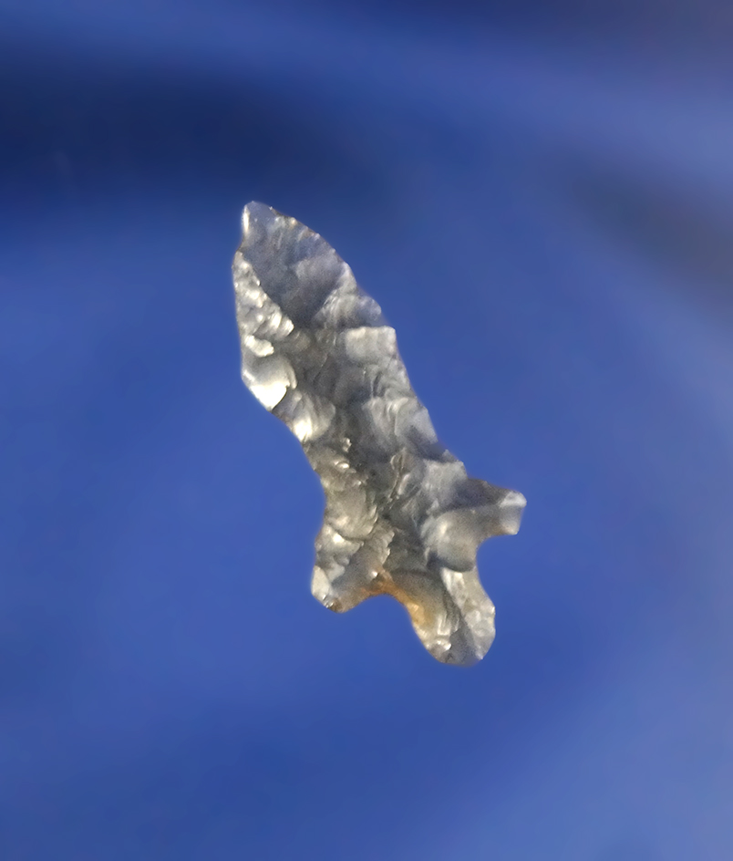 Exceptional style! 15/16" translucent Obsidian Rose Spring Stemmed found near Clearlake, California