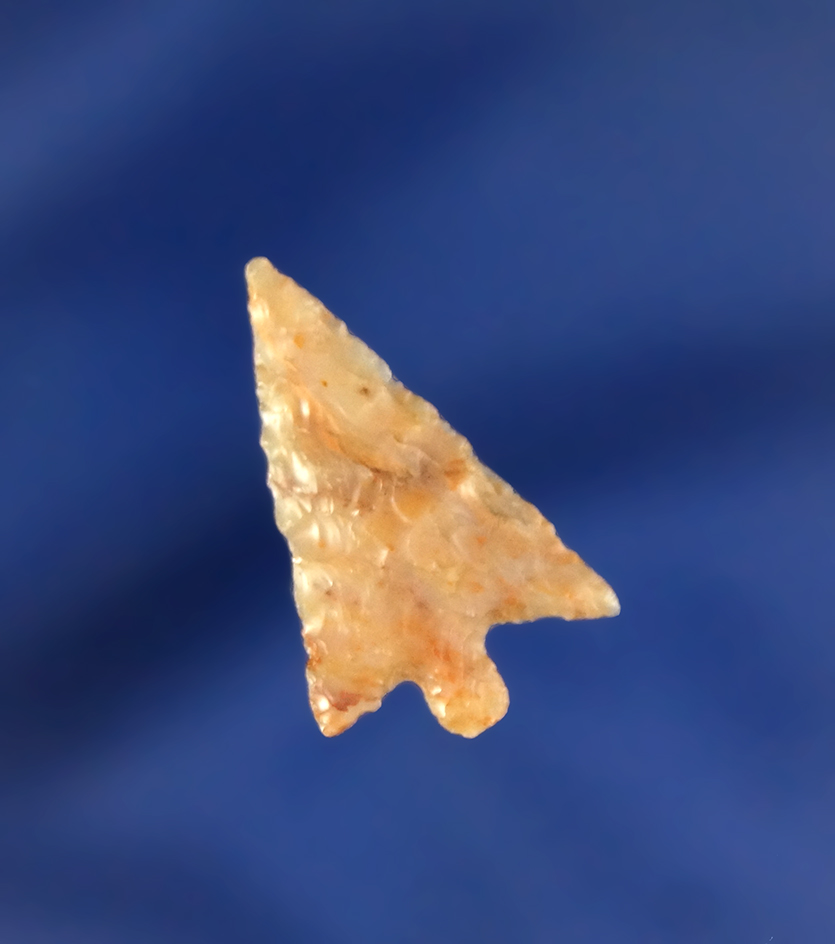 15/16" Wallula made from beautiful material with excellent flaking found near the Columbia River.