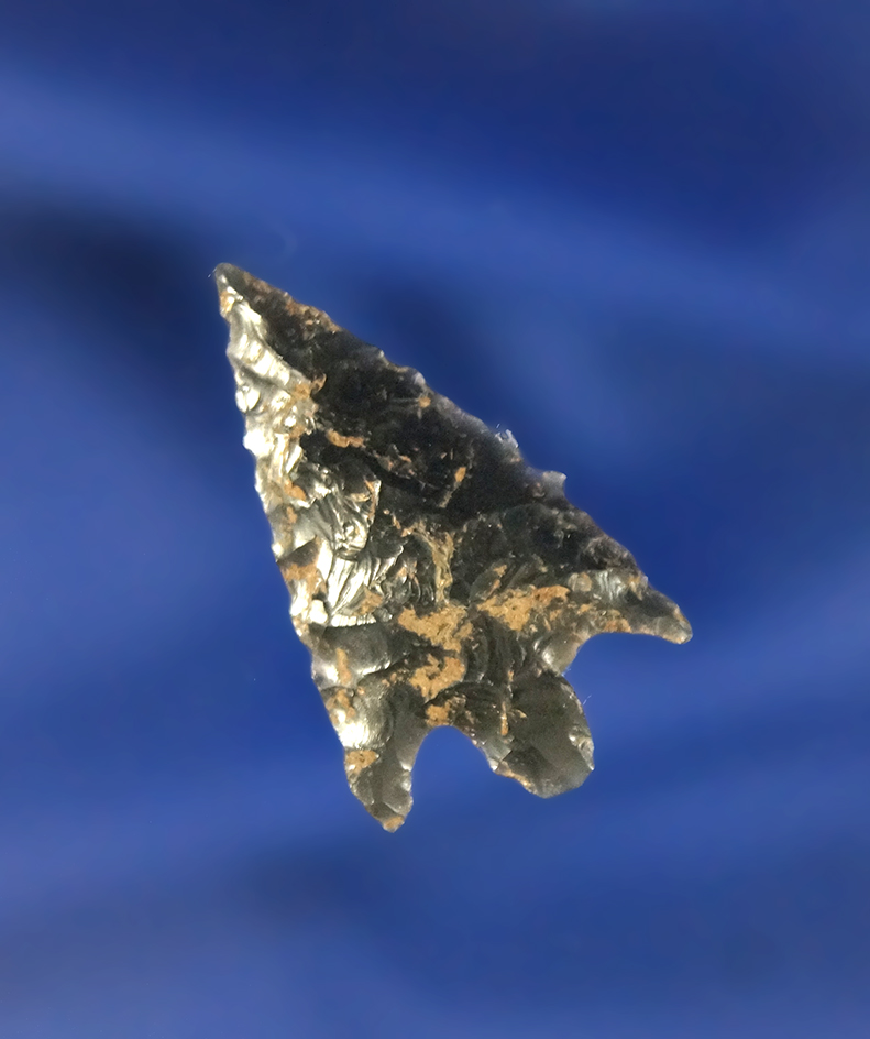 1 1/8" Columbia Plateau made from Obsidian with excellent style and nicely flaked. Columbia River.