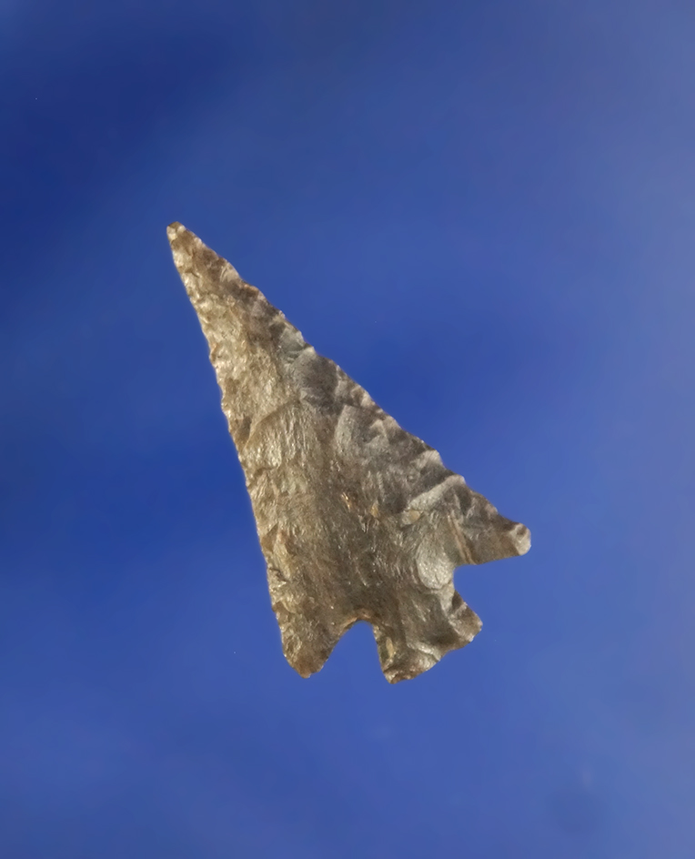 1" Columbia Plateau that is very well flaked. Found near the Columbia River, Washington.