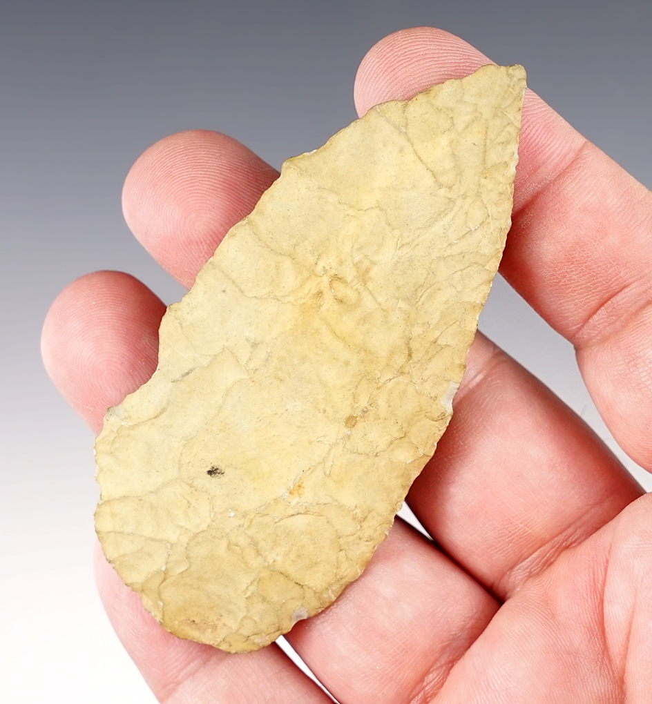 Nice 3 5/16" Blade found in Virginia. 