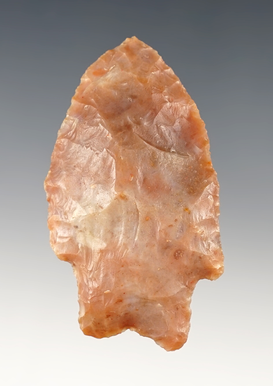 Colorful 2 1/2"  Arredondo found in the Tampa, Florida area. Comes with a Dickey COA.