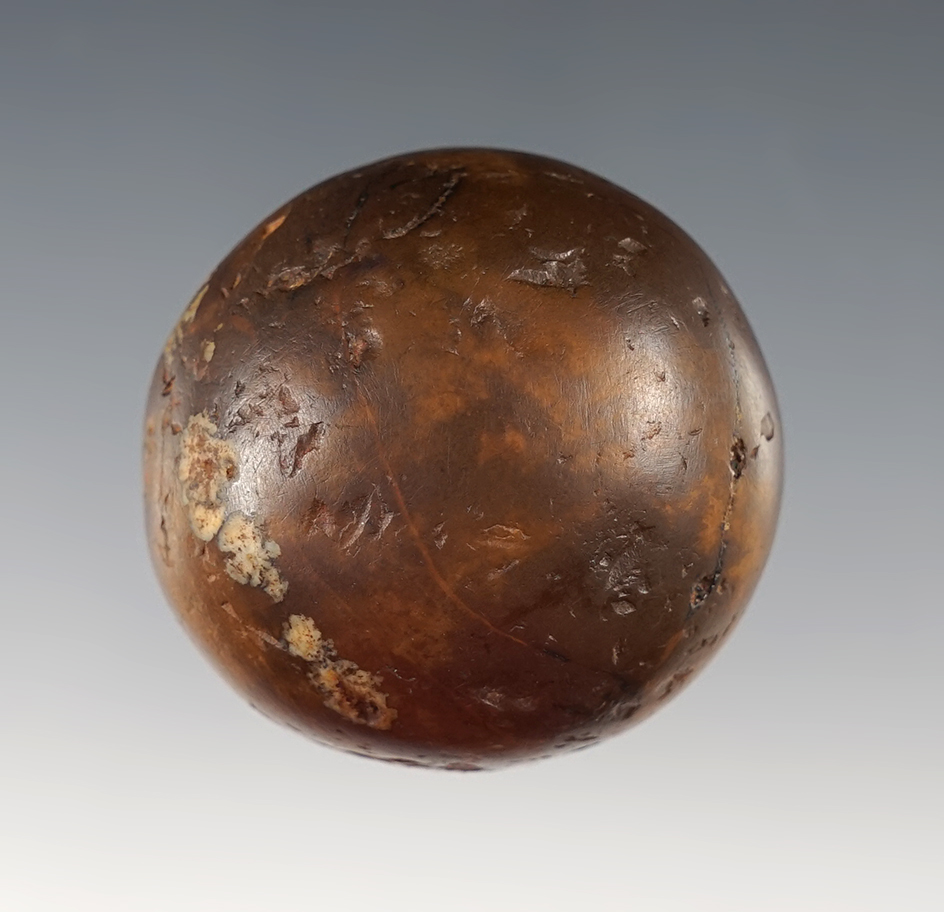 Nicely polished 1 3/8" Cone found by David "Mack" Crutchley in southern Tennessee.