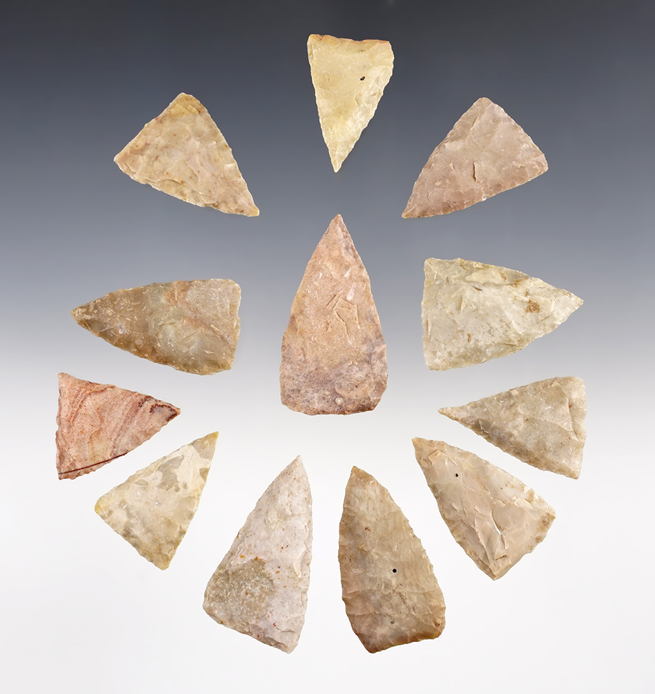 Set of 12 Matamoros Points, largest is 1 7/8". Found at the Big Bend area and New Mexico.