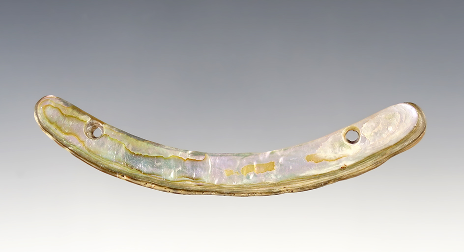 3 3/4" Shell Gorget found in New Mexico.