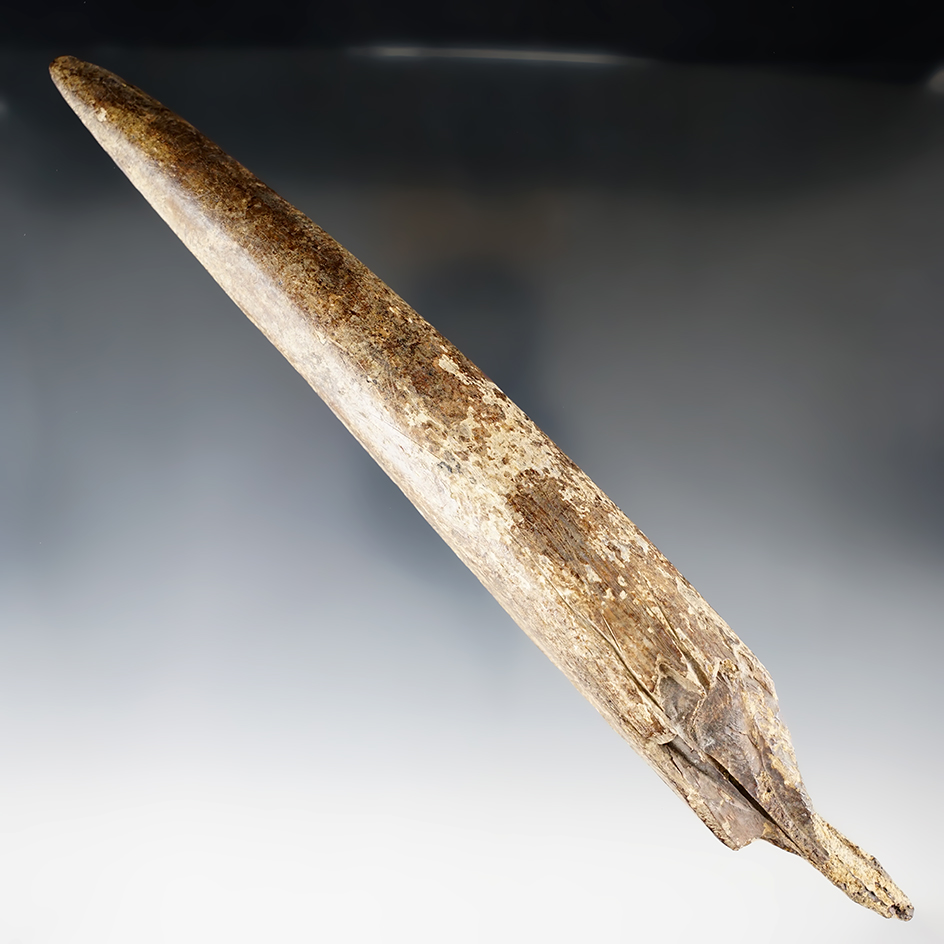 10 1/4" Bone Ice Probe found in Alaska in good condition.