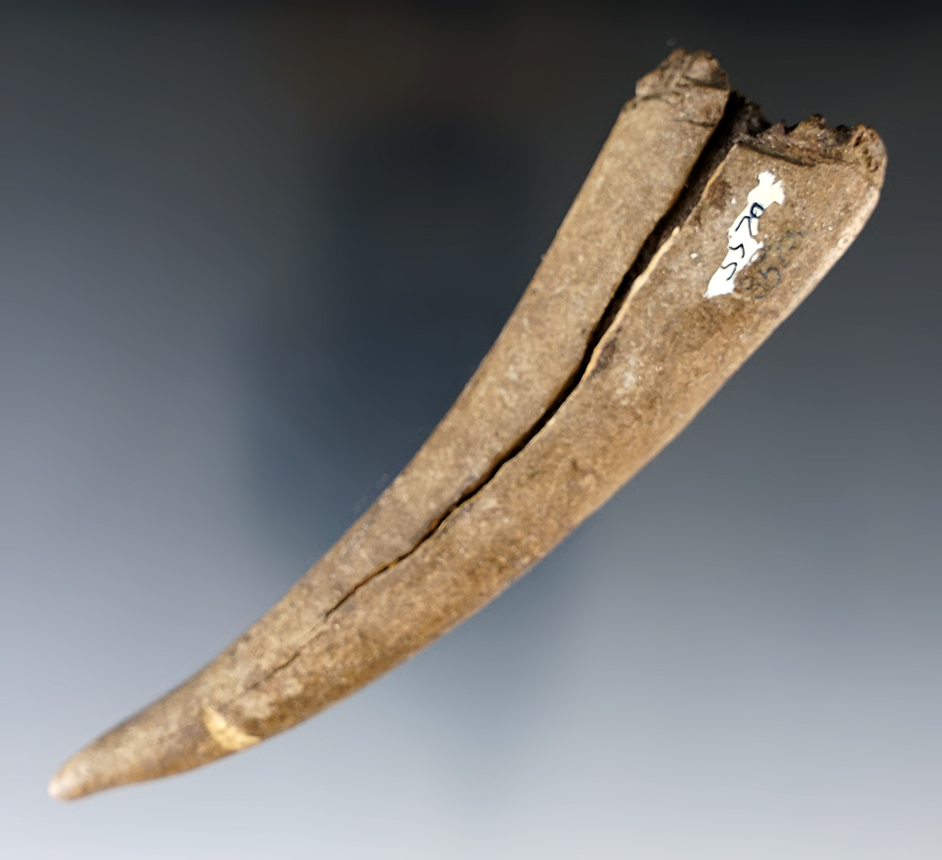 5 1/2" Antler knapping tool found close to Wakemap Mound in the 1940's.