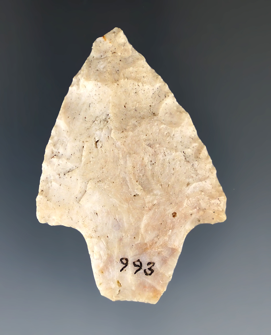 2 3/8" Newnan point found on the west side of Lake Newnan, Alachua Co.,, Florida.