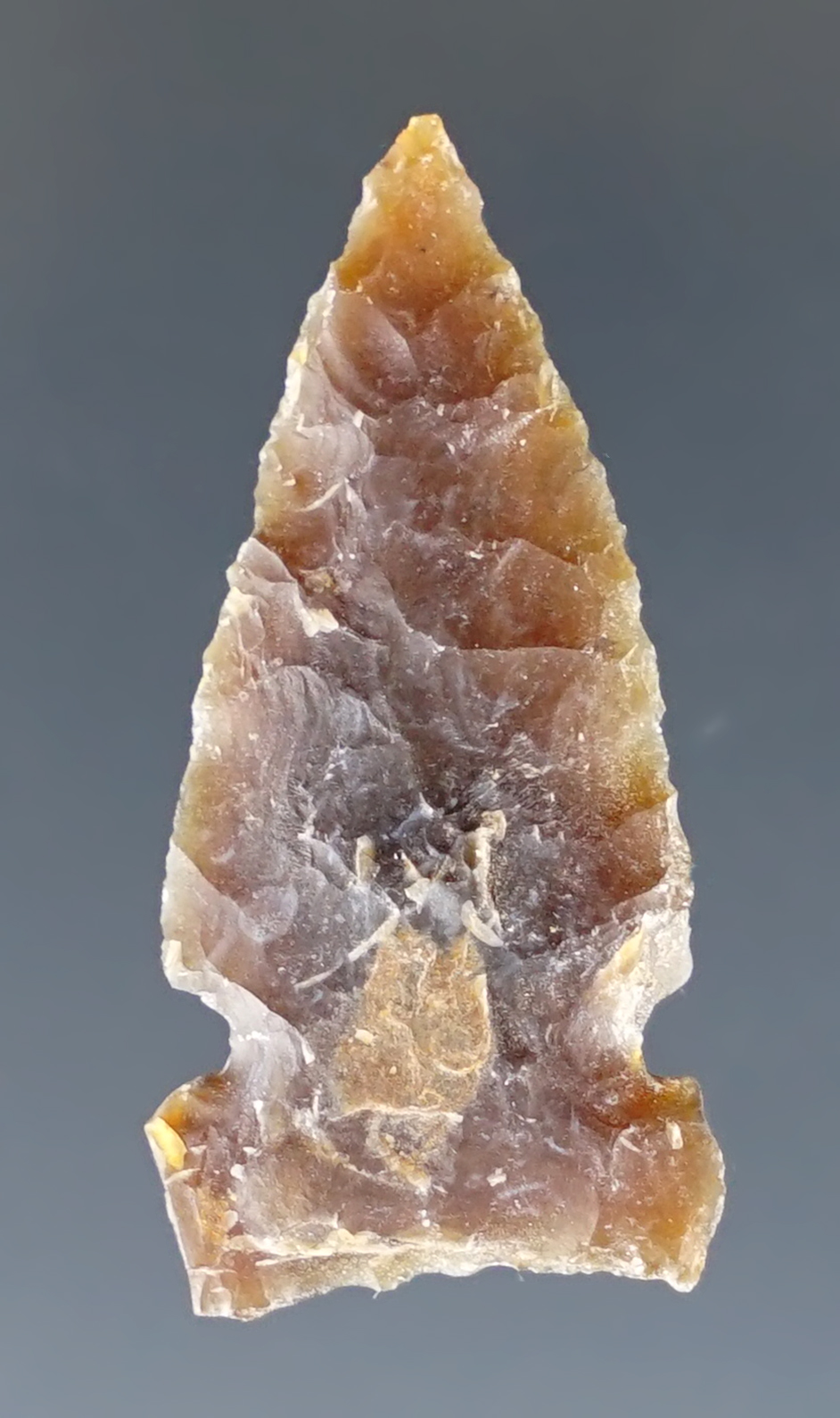 1 3/16" Plains Sidenotch Point made from quality material found in North Dakota.