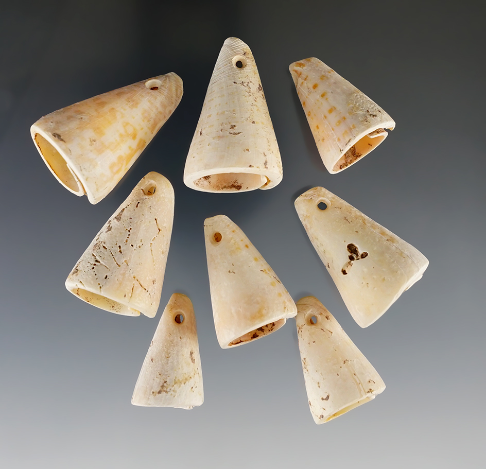 Nice! Set of nine cut and drilled ornamental shell cones in excellent condition - New Mexico.