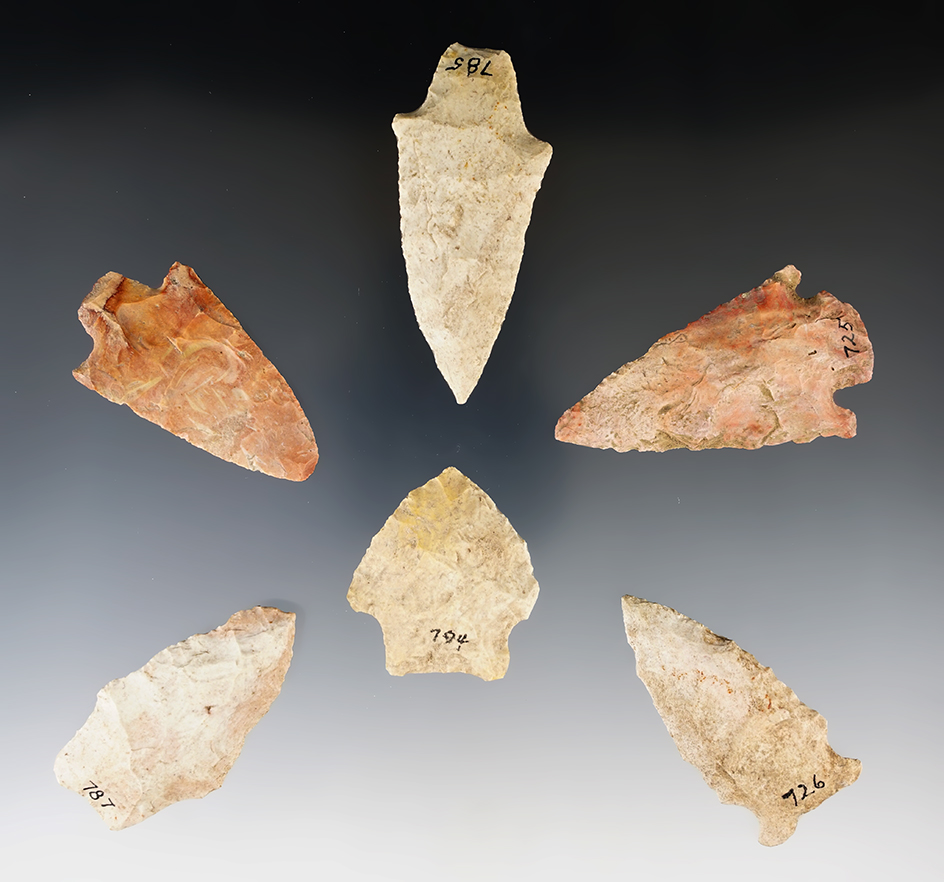 Set of six assorted flaked points found in Florida, largest is 3 1/16".  Ex. Stanley West Collection