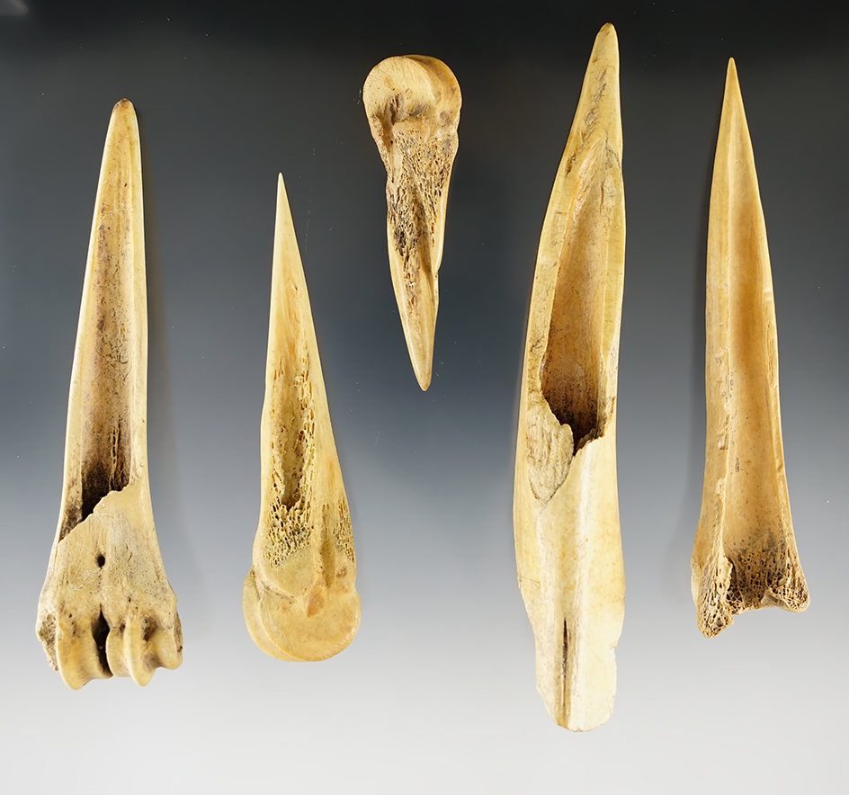 Set of 5 Nice Bone Awls found in New Mexico. The largest is 5 7/8".