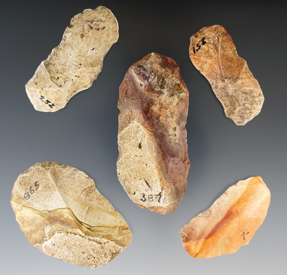 Group of five points & scrapers found in Florida. Four come with the original collector cards - 1939.