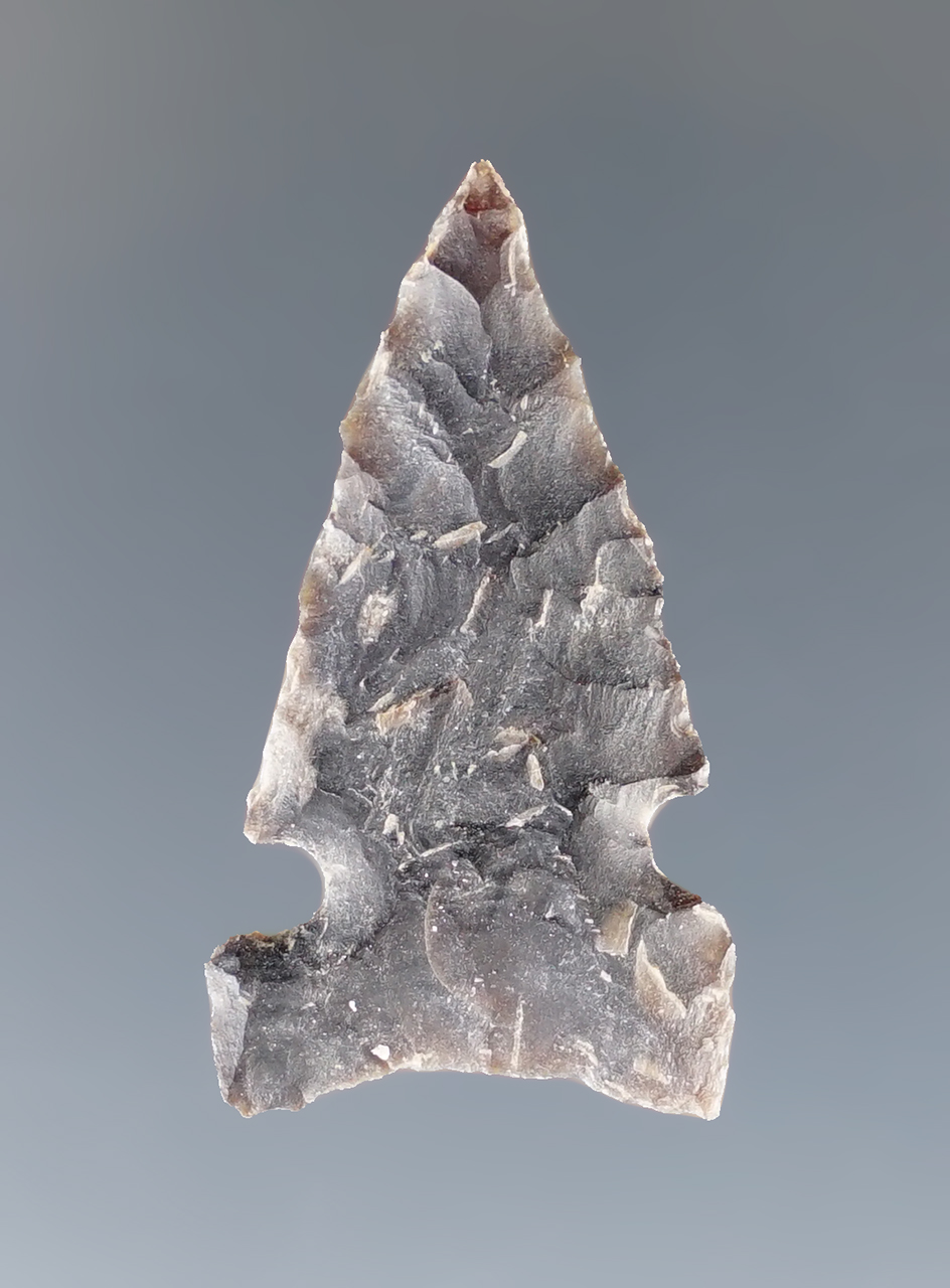 1 3/16" Plains Sidenotch found in North Dakota.