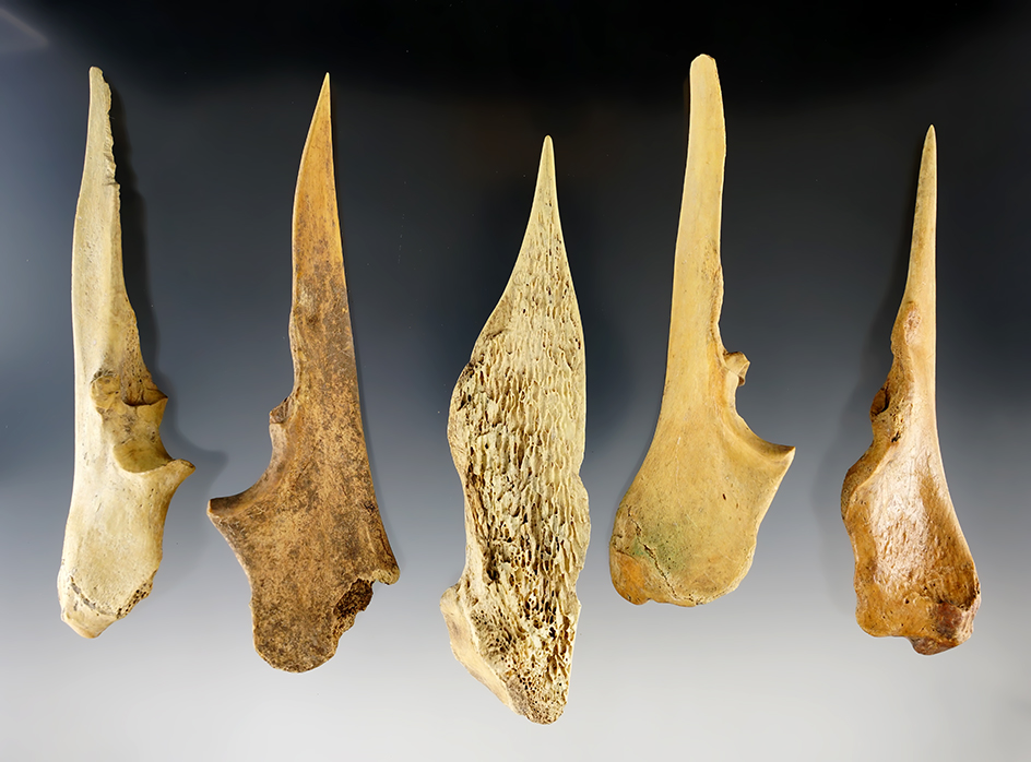 Set of 5 Nice Bone Awls found in New Mexico. The largest is 5 11/16".