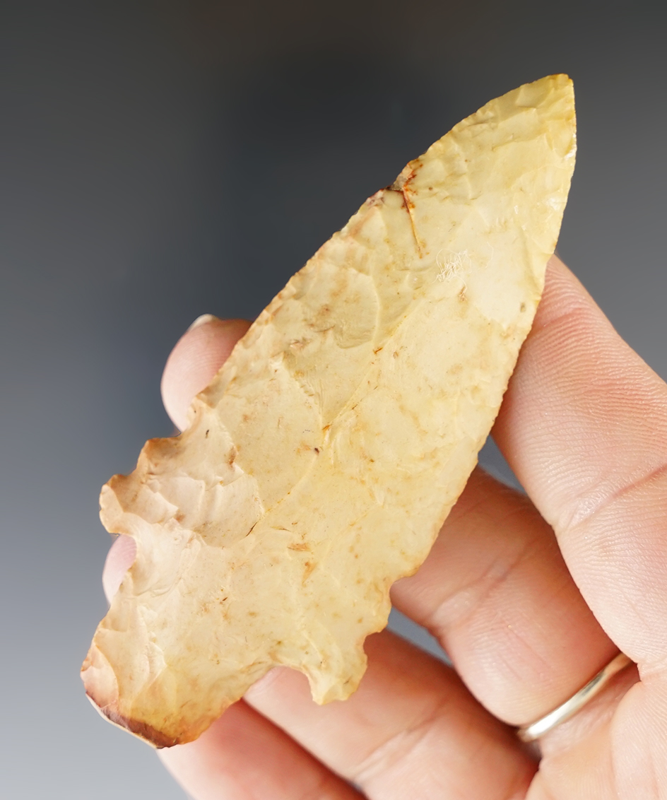 Outstanding 3 1/4" Evans Point found in Mississippi.