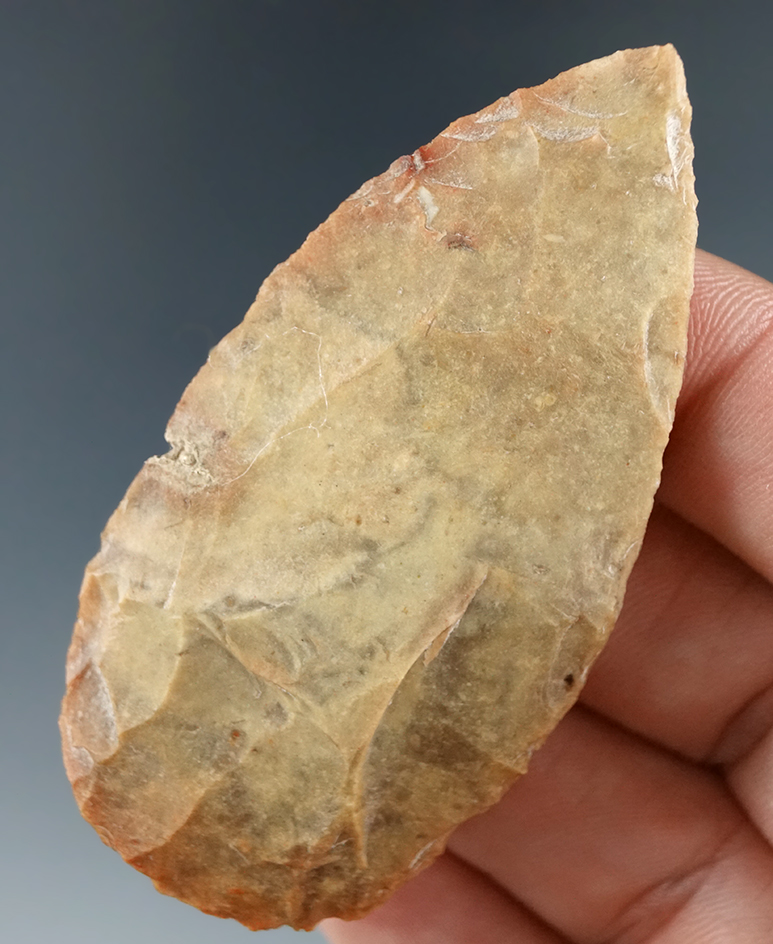 Nicely colored 2 5/8" Tampa Blade found in Marion Co., Florida.